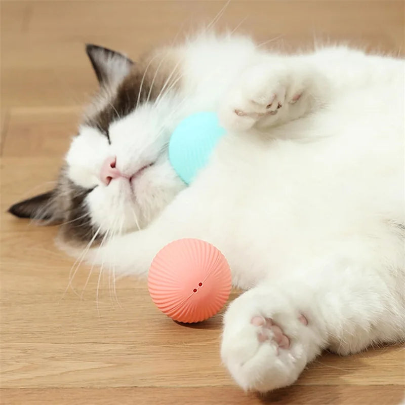 Interactive Smart Pet Ball