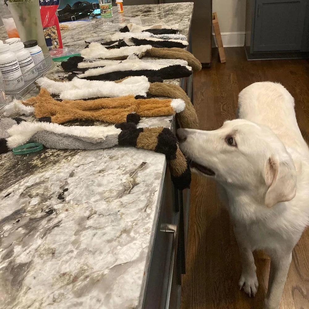 Soft Squeaky Dog Toy