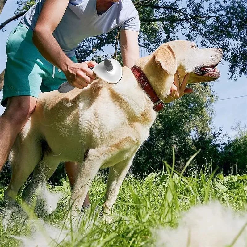 Self-Cleaning Pet Hair Removal Brush