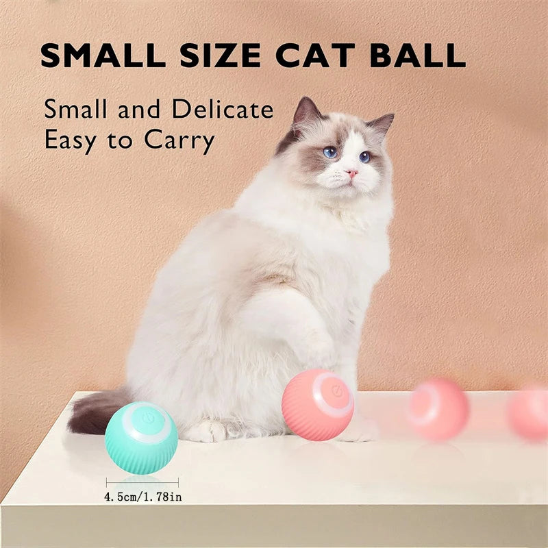 Interactive Smart Pet Ball