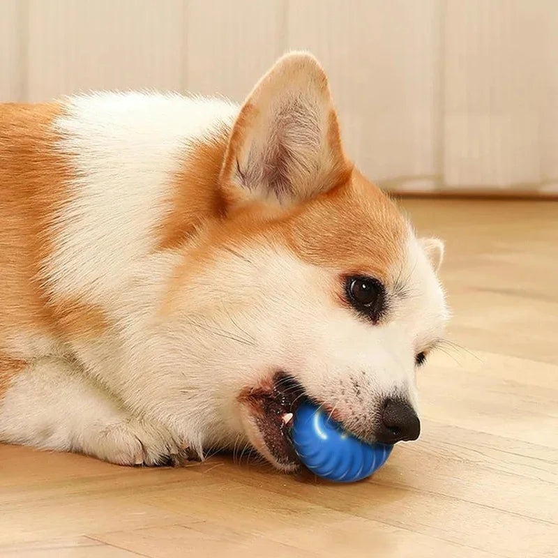 Interactive Smart Pet Ball