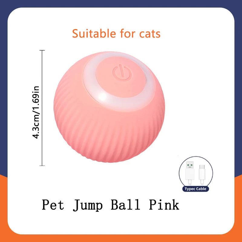 Interactive Smart Pet Ball