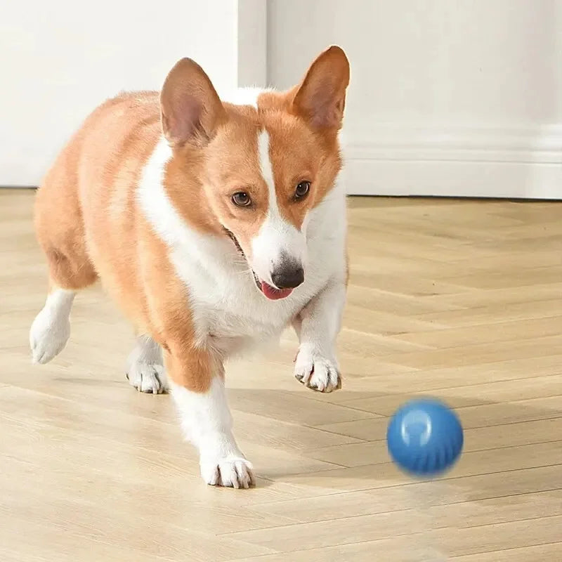 Interactive Smart Pet Ball