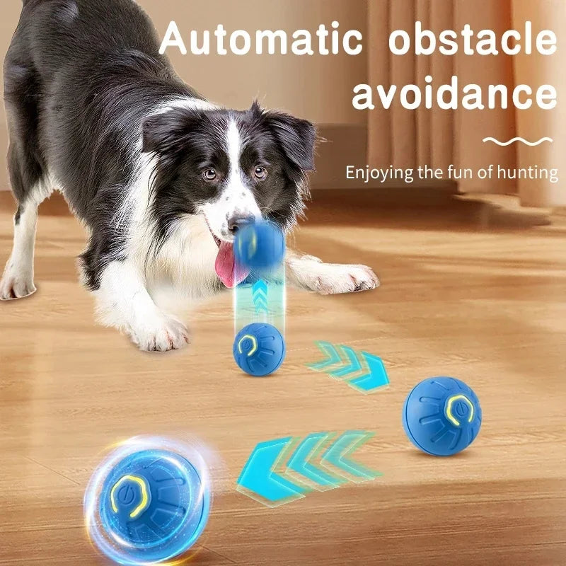 Interactive Smart Pet Ball