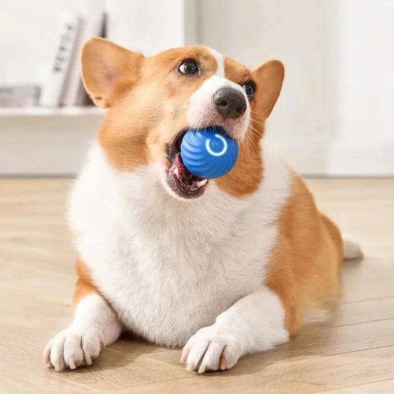Interactive Smart Pet Ball