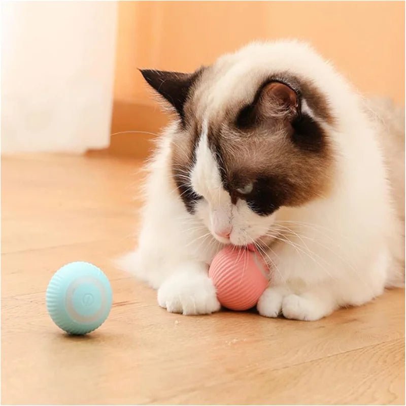 Interactive Smart Pet Ball
