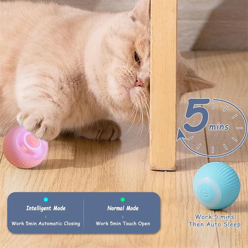 Interactive Smart Pet Ball