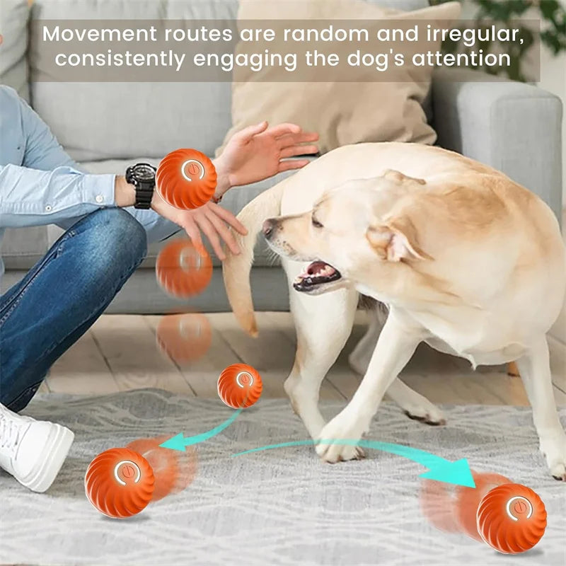 Interactive Smart Pet Ball